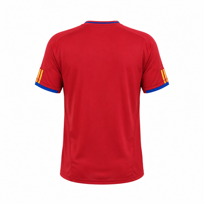 Camiseta selección España local Mundial 2010 - parte trasera